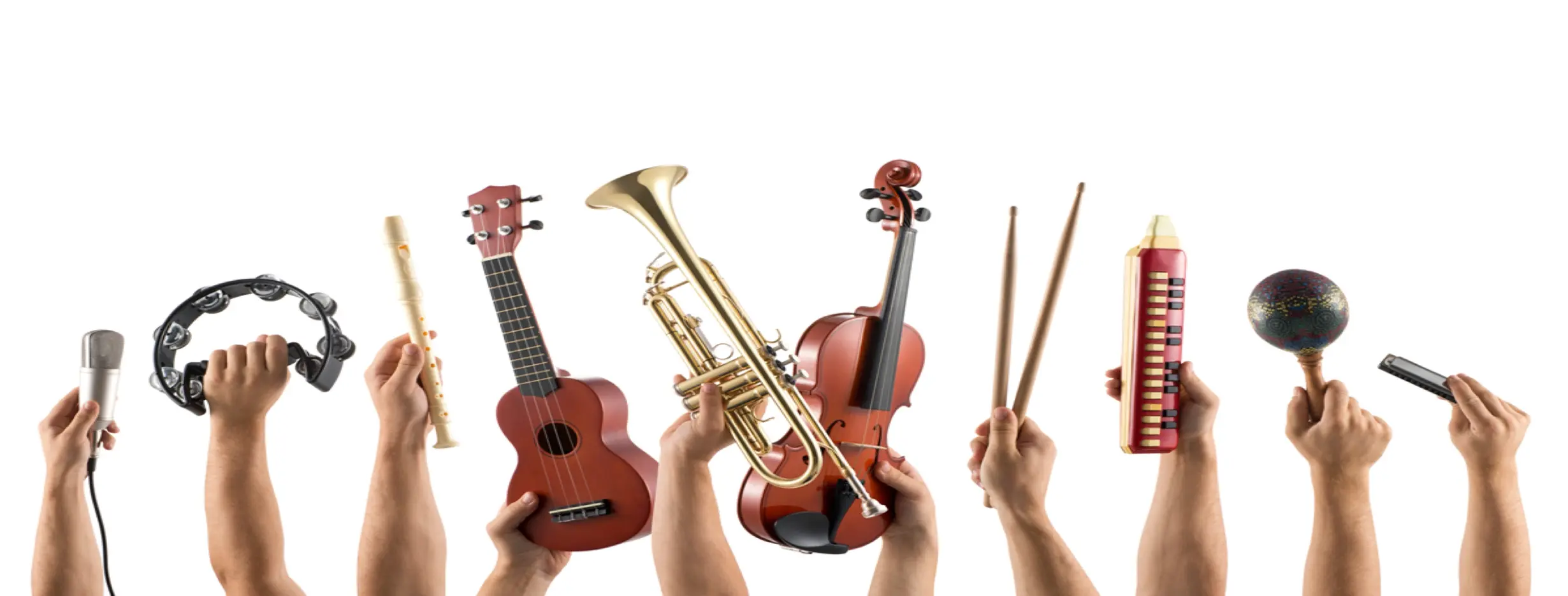 Image for Traditional Music Performance
